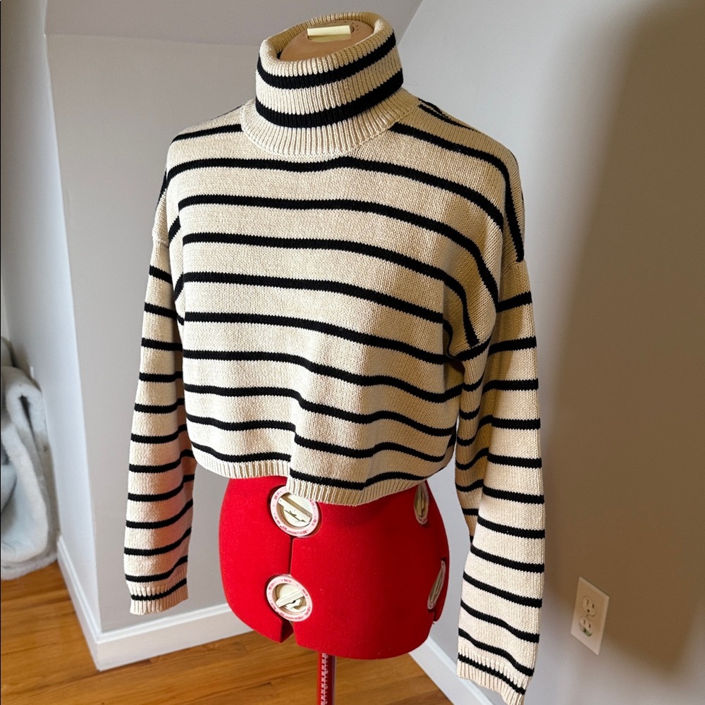 Chic Striped Turtleneck Sweater - Black and Cream